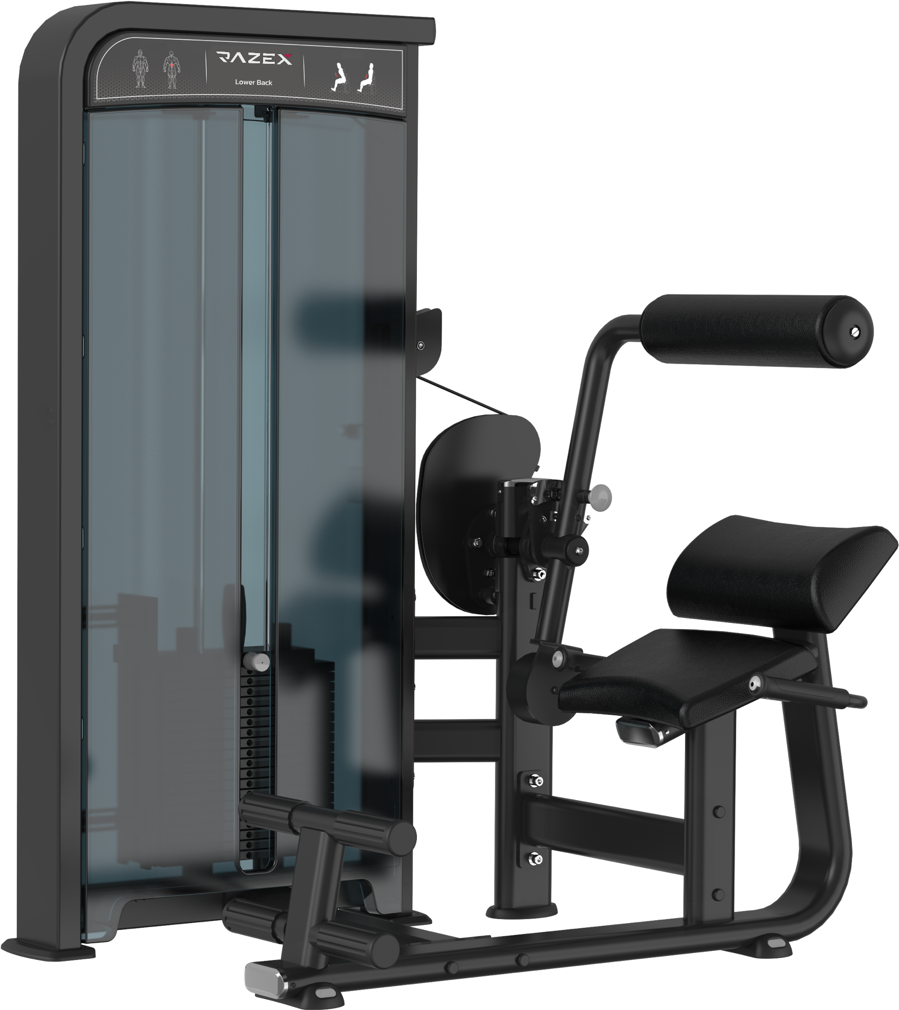 Lower Back